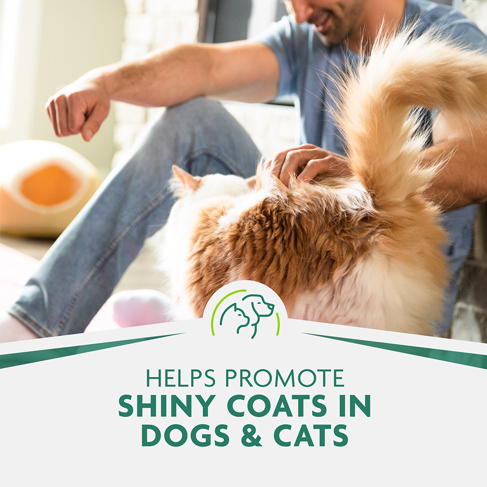Furminator bathing brush clearance